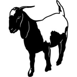 Goat Stickers – Farm Animal Silhouette Decals (2-Pack)