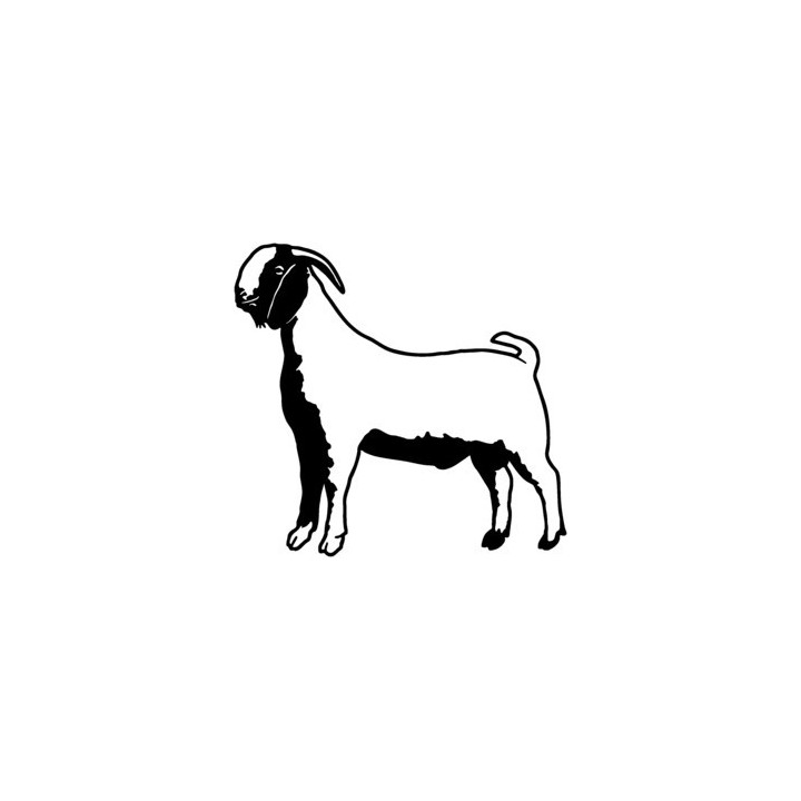 Goat Stickers – Farm Animal Goat Decals (2-Pack)