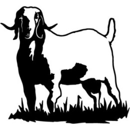 Goat Vinyl Decal Sticker V5 - DecalsHouse