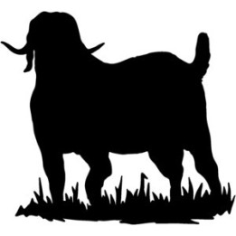 Goat Silhouette Stickers – Farm Animal Decals (2-Pack)