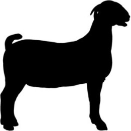 Goat Silhouette Stickers – Farm Animal Decals (2-Pack)