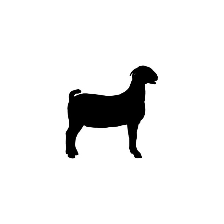 Goat Silhouette Stickers – Farm Animal Decals (2-Pack)