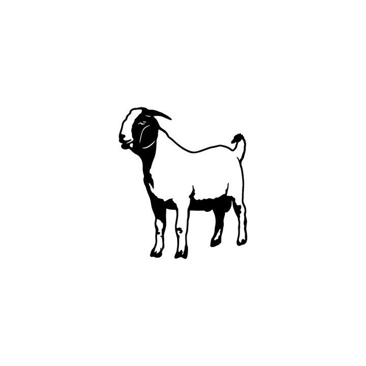 Goat Stickers – Boer Goat Farm Animal Decals (2-Pack)