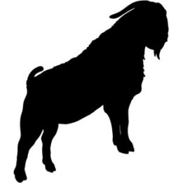Goat Silhouette Stickers – Billy Goat Decals (2-Pack)