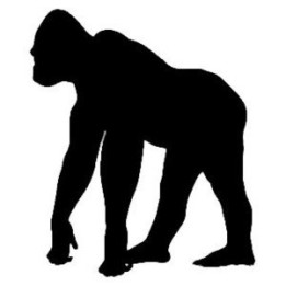 Gorilla Vinyl Decal Sticker V10 - DecalsHouse
