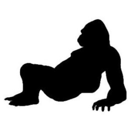 Gorilla Vinyl Decal Sticker V14 - DecalsHouse