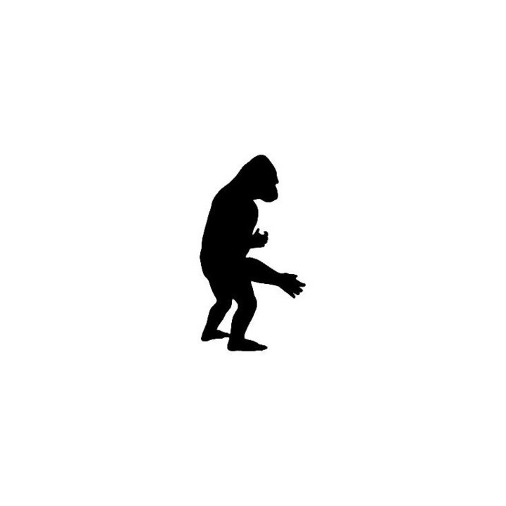 Gorilla Vinyl Decal Sticker V15 - DecalsHouse