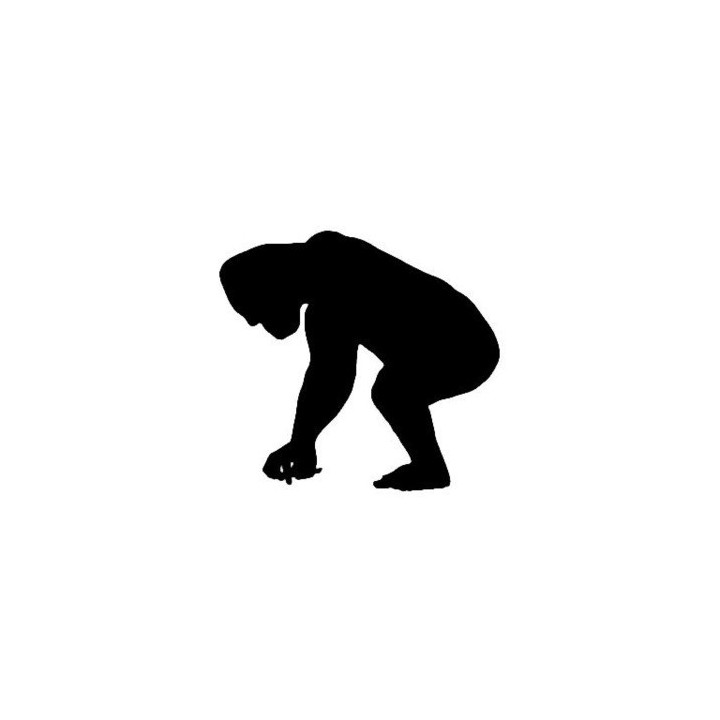 Gorilla Vinyl Decal Sticker V2 - DecalsHouse