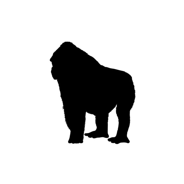 Gorilla Vinyl Decal Sticker V38 - DecalsHouse