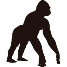 Gorilla Vinyl Decal Sticker V47 - DecalsHouse