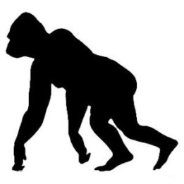 Gorilla Vinyl Decal Sticker V5 - DecalsHouse