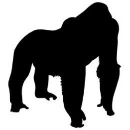 Gorilla Vinyl Decal Sticker V58 - DecalsHouse