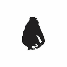 Gorilla Vinyl Decal Sticker V59 - DecalsHouse