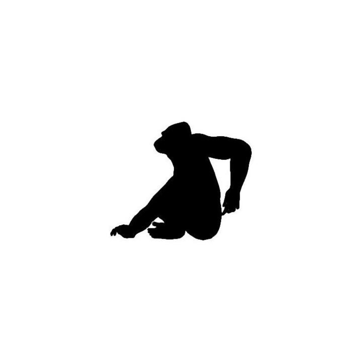Gorilla Vinyl Decal Sticker V6 - DecalsHouse