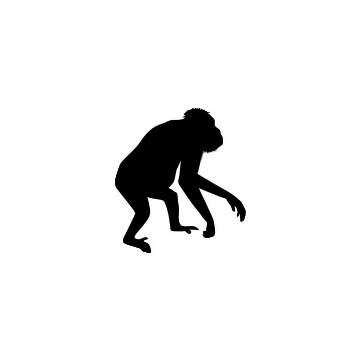 Gorilla Vinyl Decal Sticker V69 - DecalsHouse