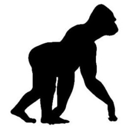 Gorilla Vinyl Decal Sticker V7 - DecalsHouse