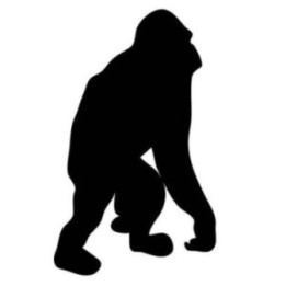 Gorilla Vinyl Decal Sticker V70 - DecalsHouse
