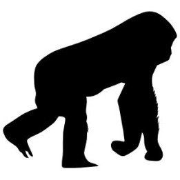 Gorilla Vinyl Decal Sticker V78 - DecalsHouse
