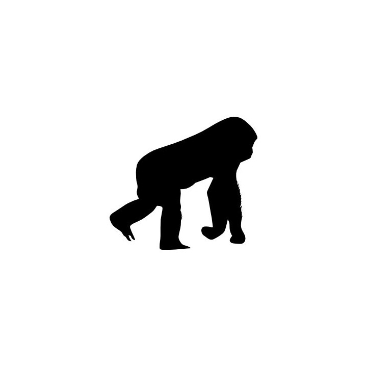 Gorilla Vinyl Decal Sticker V78 - DecalsHouse