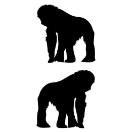 Gorilla Vinyl Decal Sticker V82 - DecalsHouse