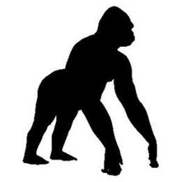 Gorilla Vinyl Decal Sticker - DecalsHouse