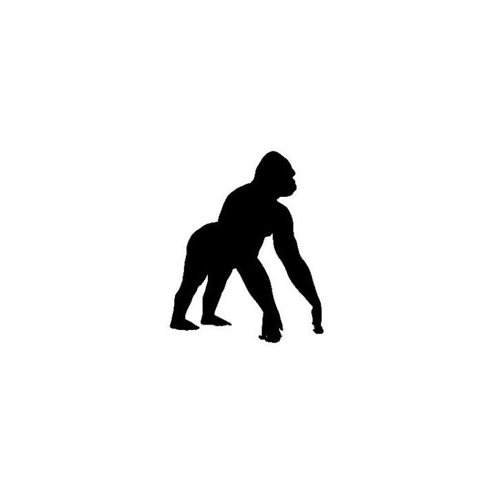 Gorilla Vinyl Decal Sticker - DecalsHouse