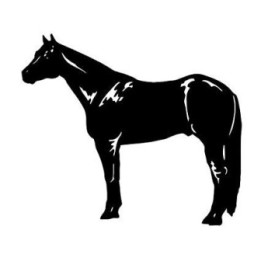 Horse Vinyl Decal Sticker V106 - DecalsHouse