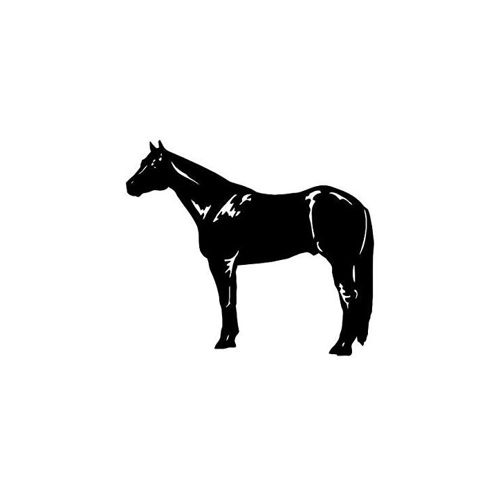 Horse Vinyl Decal Sticker V106 - DecalsHouse
