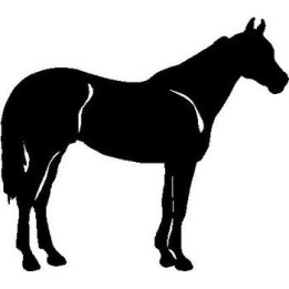 Horse Silhouette Stickers – Equestrian Decals (2-Pack)