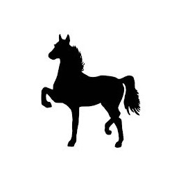 Horse Silhouette Stickers – Equestrian Decals (2-Pack)