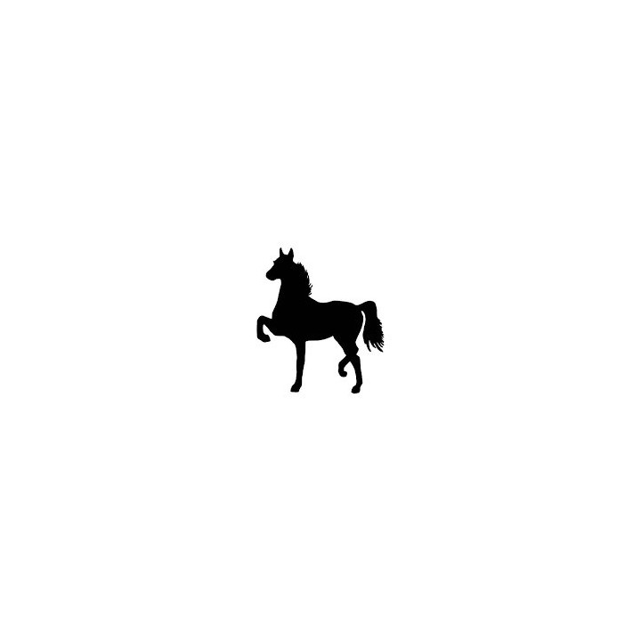 Horse Silhouette Stickers – Equestrian Decals (2-Pack)