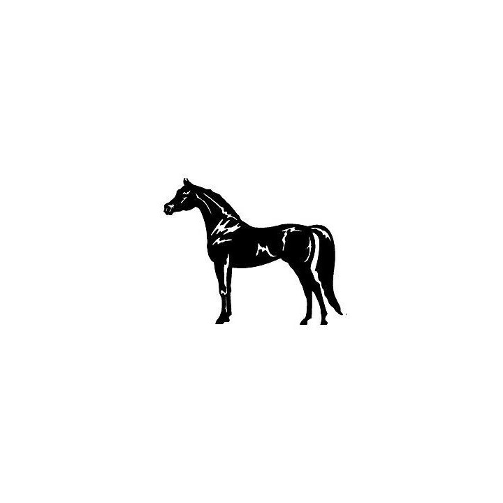 Horse Silhouette Stickers – Equestrian Decals (2-Pack)