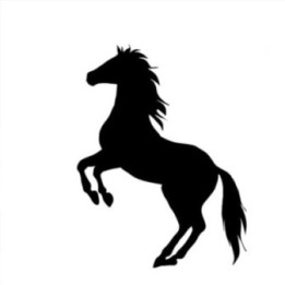 Rearing Horse Stickers – Stallion Silhouette Decals (2-Pack)