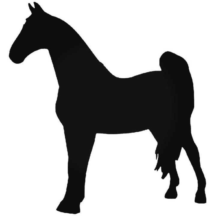 Horse Silhouette Stickers – Equestrian Decals (2-Pack)