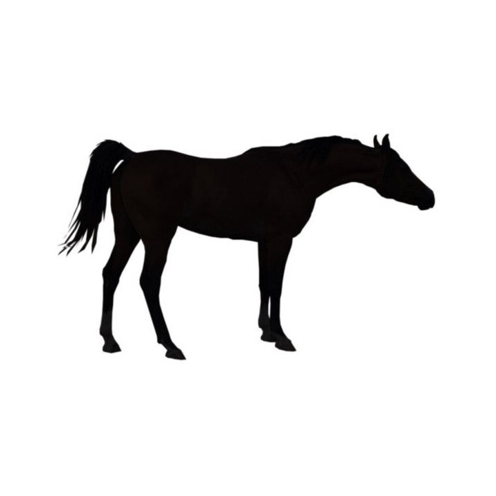 Horse Silhouette Stickers – Standing Horse Decals (2-Pack)