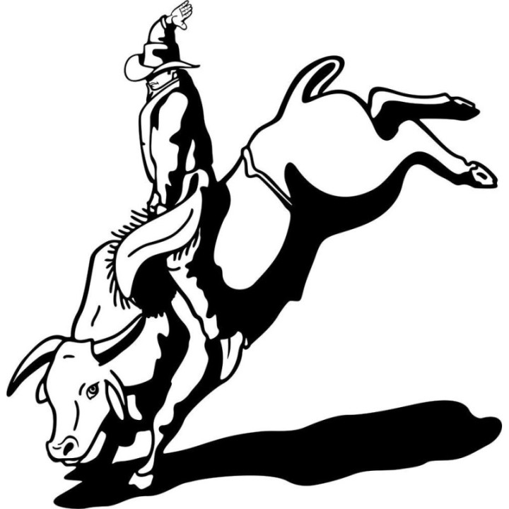 Bull Riding Stickers – Rodeo Cowboy Decals (2-Pack)