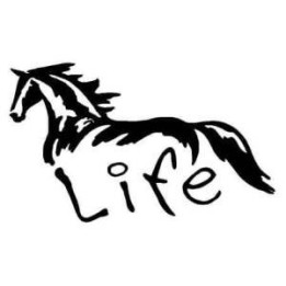 Horse Life Stickers – Equestrian Horse Decals (2-Pack)