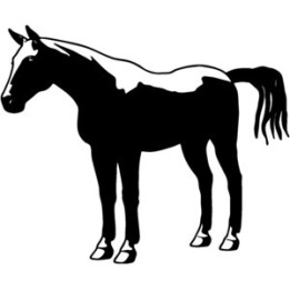 Horse Silhouette Stickers – Equestrian Decals (2-Pack)