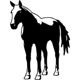 Horse Stickers – Stallion Silhouette Equestrian Decals (2-Pack)