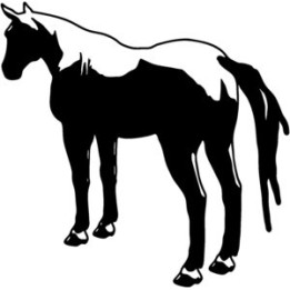 Paint Horse Stickers – Western Equestrian Decals (2-Pack)