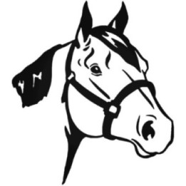 Horse Head Stickers – Equestrian Halter Decals (2-Pack)