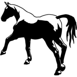 Horse Stickers – Equestrian Decals (2-Pack)