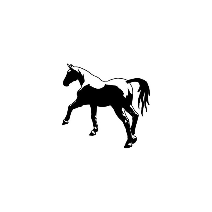 Horse Stickers – Equestrian Decals (2-Pack)