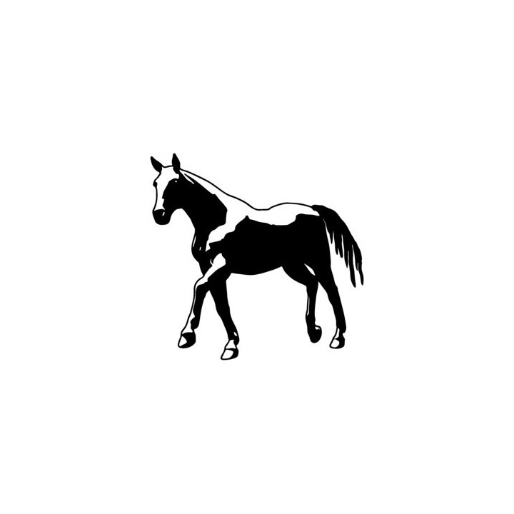 Horse Stickers – Paint Horse Equestrian Decals (2-Pack)