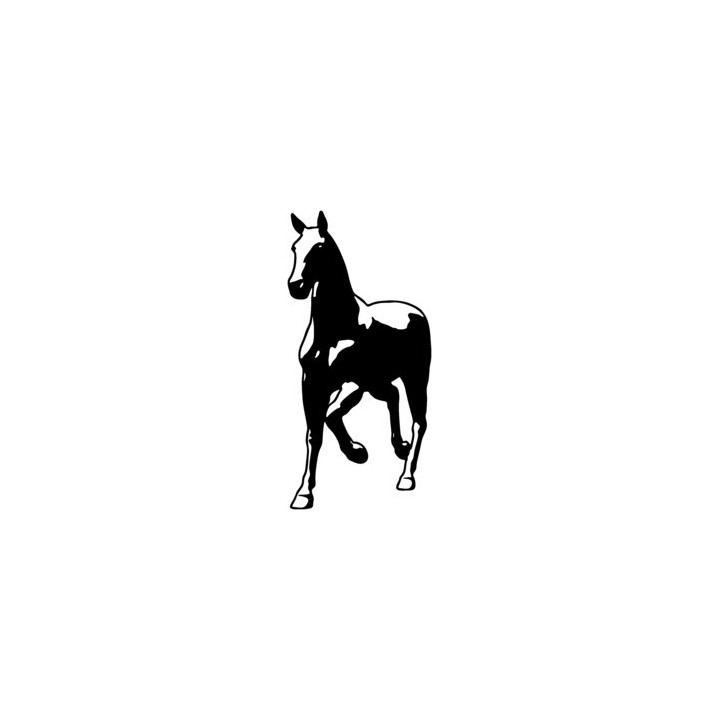Horse Stickers – Silhouette Equestrian Decals (2-Pack)