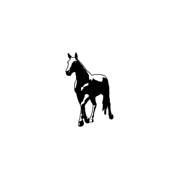 Horse Stickers – Stallion Silhouette Equestrian Decals (2-Pack)