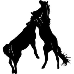 Horse Stickers – Rearing Horses Equestrian Decals (2-Pack)
