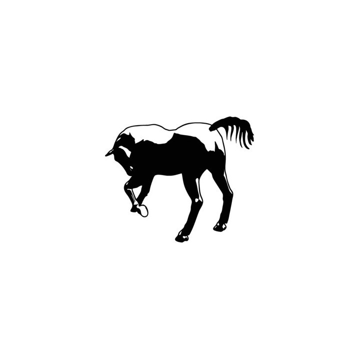 Horse Foal Silhouette Stickers – Equestrian Decals (2-Pack)