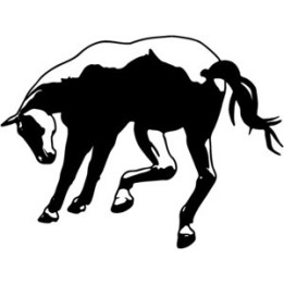 Horse Stickers – Equine Silhouette Decals (2-Pack)
