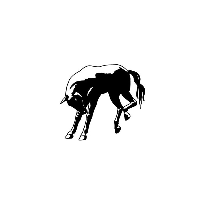 Horse Grazing Stickers – Equestrian Pony Decals (2-Pack)